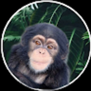 Meet your Posher, Troy